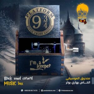Harry Potter Music Box #3