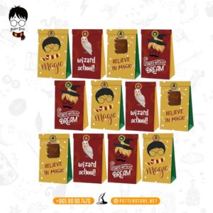 Wizard Party Gift Bags