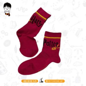 Harry Potter Big Socks