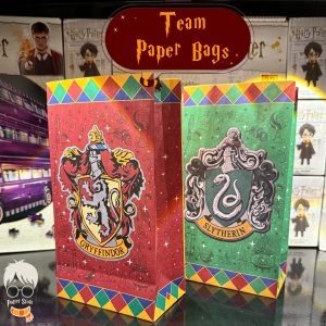 Team Paper Bags 2pcs