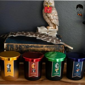 Hogwarts House Candle Glass set