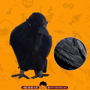 Black Raven Feather Crow